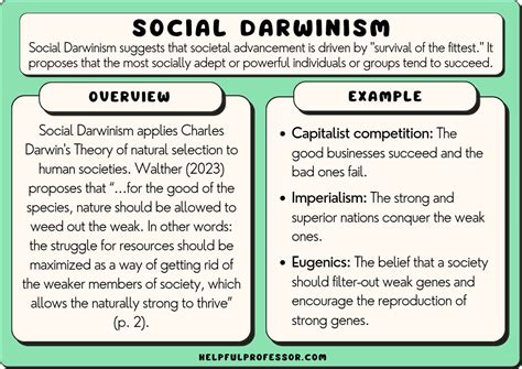 social darwinism essay